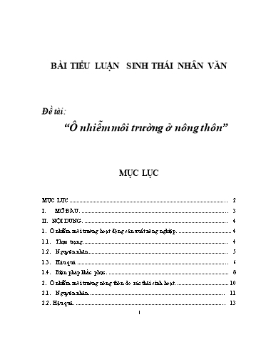 Tiểu luận Sinh thái nhân văn: Ô nhiễm môi trường ở nông thôn