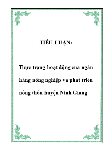 Tiểu luận Thực trạng hoạt động của Ngân hàng Nông nghiệp và Phát triển Nông thôn huyện Ninh Giang