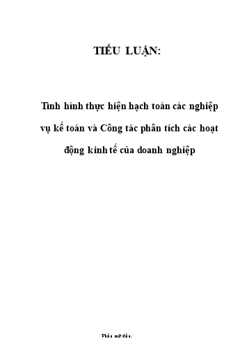 Tiểu luận Tình hình thực hiện hạch toán các nghiệp vụ kế toán và Công tác phân tích các hoạt động kinh tế của doanh nghiệp