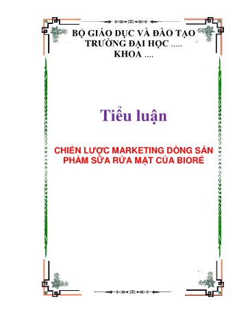 Tiểu luận Chiến lược marketing dòng sản phẩm sữa rửa mặt của Bioré