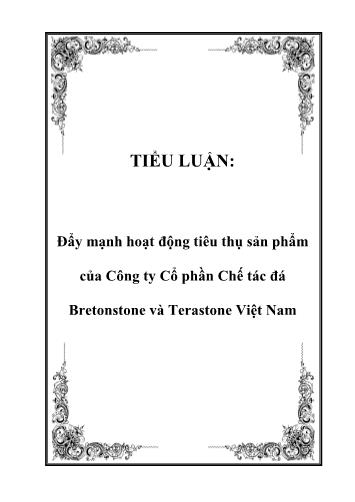 Tiểu luận Đẩy mạnh hoạt động tiêu thụ sản phẩm của Công ty Cổ phần Chế tác đá Bretonstone và Terastone Việt Nam