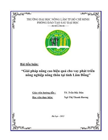 Tiểu luận Giải pháp nâng cao hiệu quả cho vay phát triển nông nghiệp nông thôn tại tỉnh Lâm Đồng