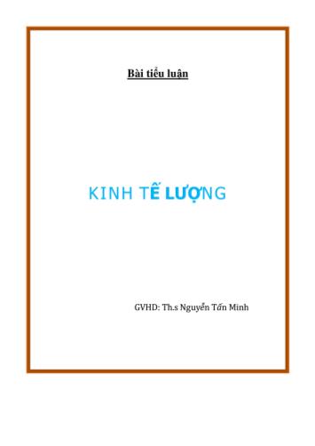 Tiểu luận Kinh tế lượng - Nguyễn Tấn Minh