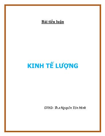 Tiểu luận Kinh tế lượng