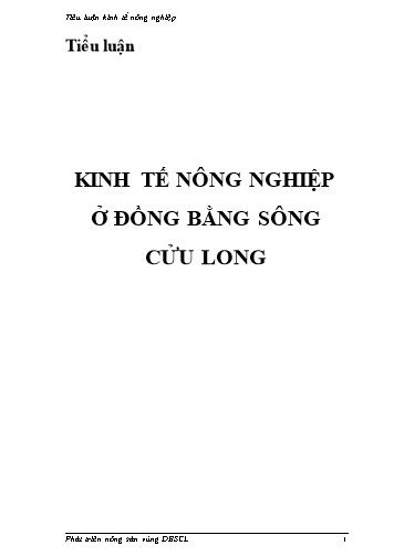 Tiểu luận Kinh tế nông nghiệp ở đồng bằng sông Cửu Long