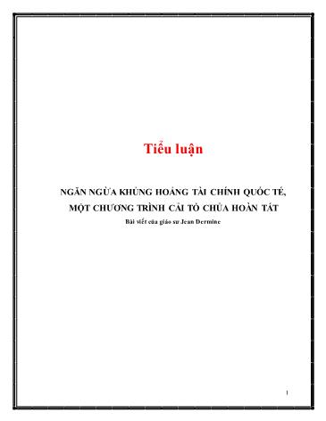 Tiểu luận Ngăn ngừa khủng hoảng tài chính quốc tế, một chương trình cải tổ chưa hoàn tất