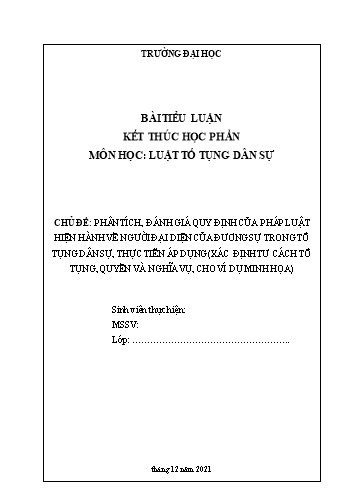 Tiểu luận Phân tích, đánh giá các quy định của pháp luật hiện hành về người đại diện của đương sự trong tố tụng dân sự, thực tiễn áp dụng và đề xuất, kiến nghị