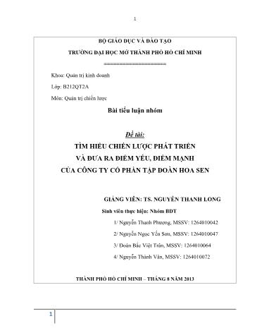 Tiểu luận Tìm hiểu chiến lược phát triển và đưa ra điểm yếu, điểm mạnh của Công ty Cổ phần Tập đoàn Hoa Sen