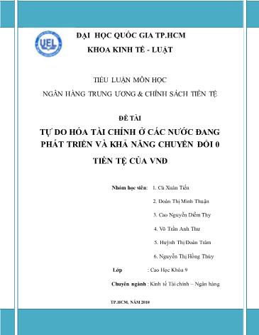 Tiểu luận Tự do hoá tài chính ở các nước đang phát triển và khả năng chuyển tổi tiền tệ của VND