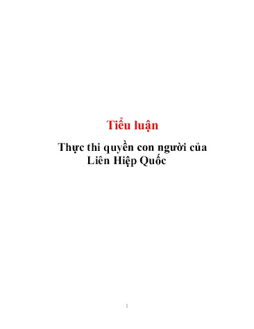 Tiểu luận Thực thi quyền con người của Liên Hiệp Quốc